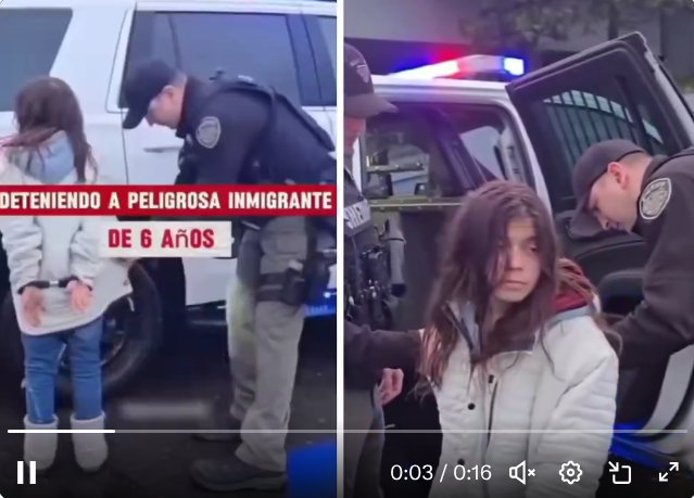 Democrats Accused of Spreading Misinformation in Viral Video Claiming ICE Arrest of Six-Year-Old Immigrant