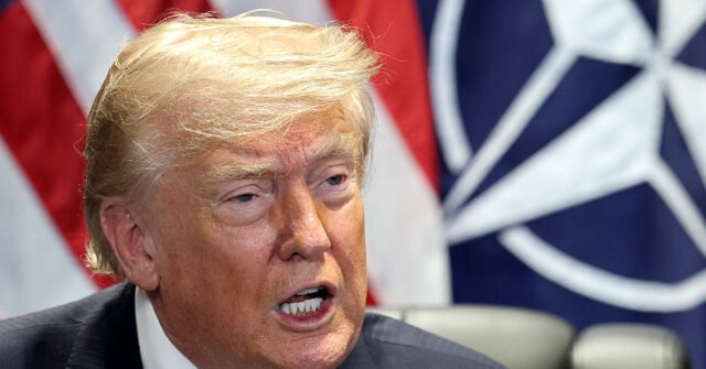 Trump Cuts Off All Trade With ‘Terrible NATO Partner’ Spain